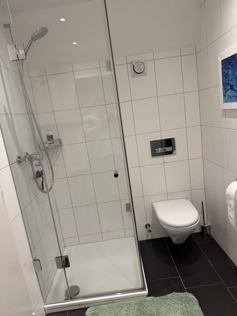 Beautiful Centrally Located Shared Flat in Kreis 6 (10)