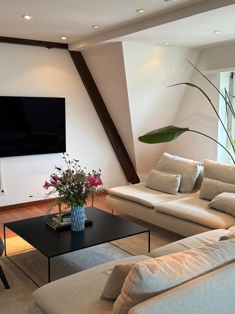Beautiful Centrally Located Shared Flat in Kreis 6 (6)