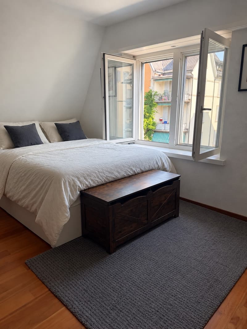 Beautiful Centrally Located Shared Flat in Kreis 6 (9)