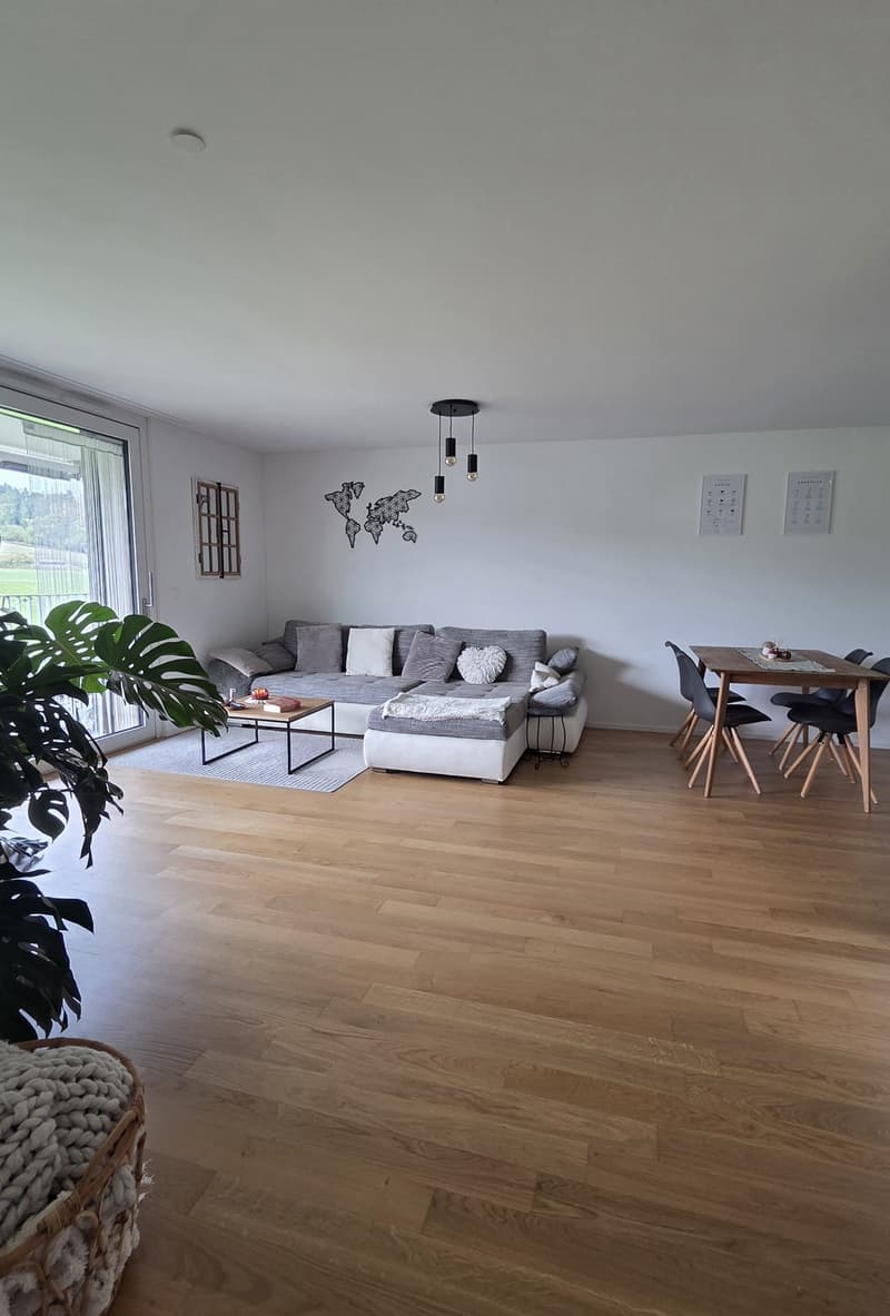 Moderne 2.5 Zimmerwohnung zu Vermieten (6)