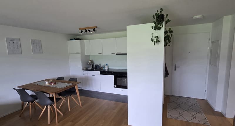 Moderne 2.5 Zimmerwohnung zu Vermieten (2)