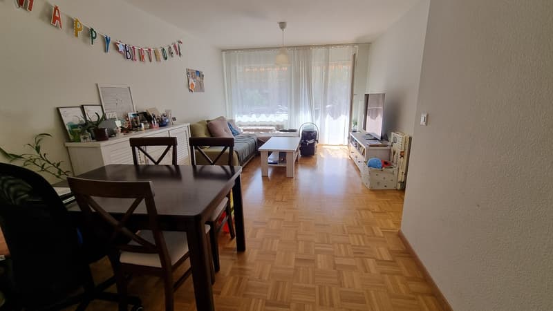 Appartement 2,5 pièces avec grande terrasse à Vevey (1)
