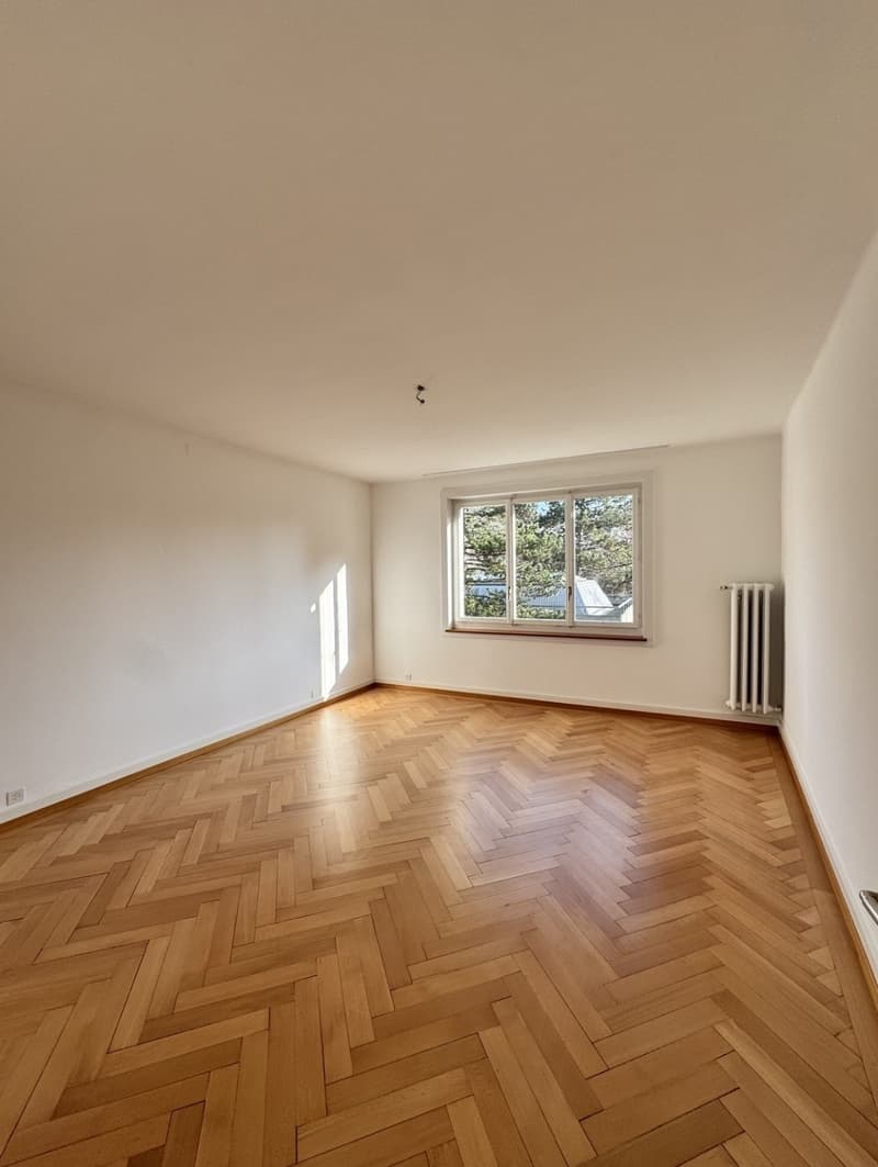 22.5m² room in 4WG flatshare, room takeover (1)