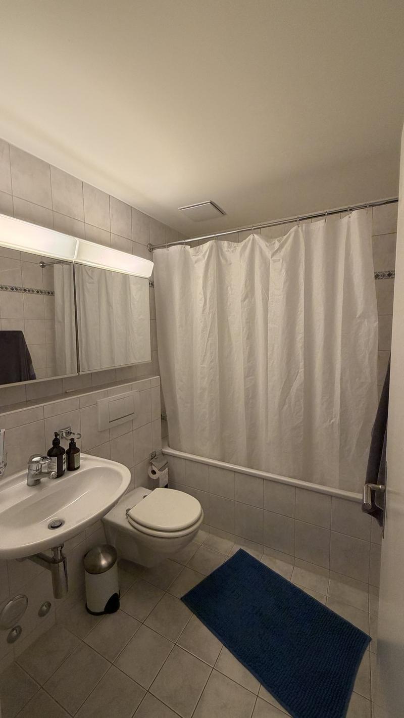 Room for Rent in Zurich Available from November (5)
