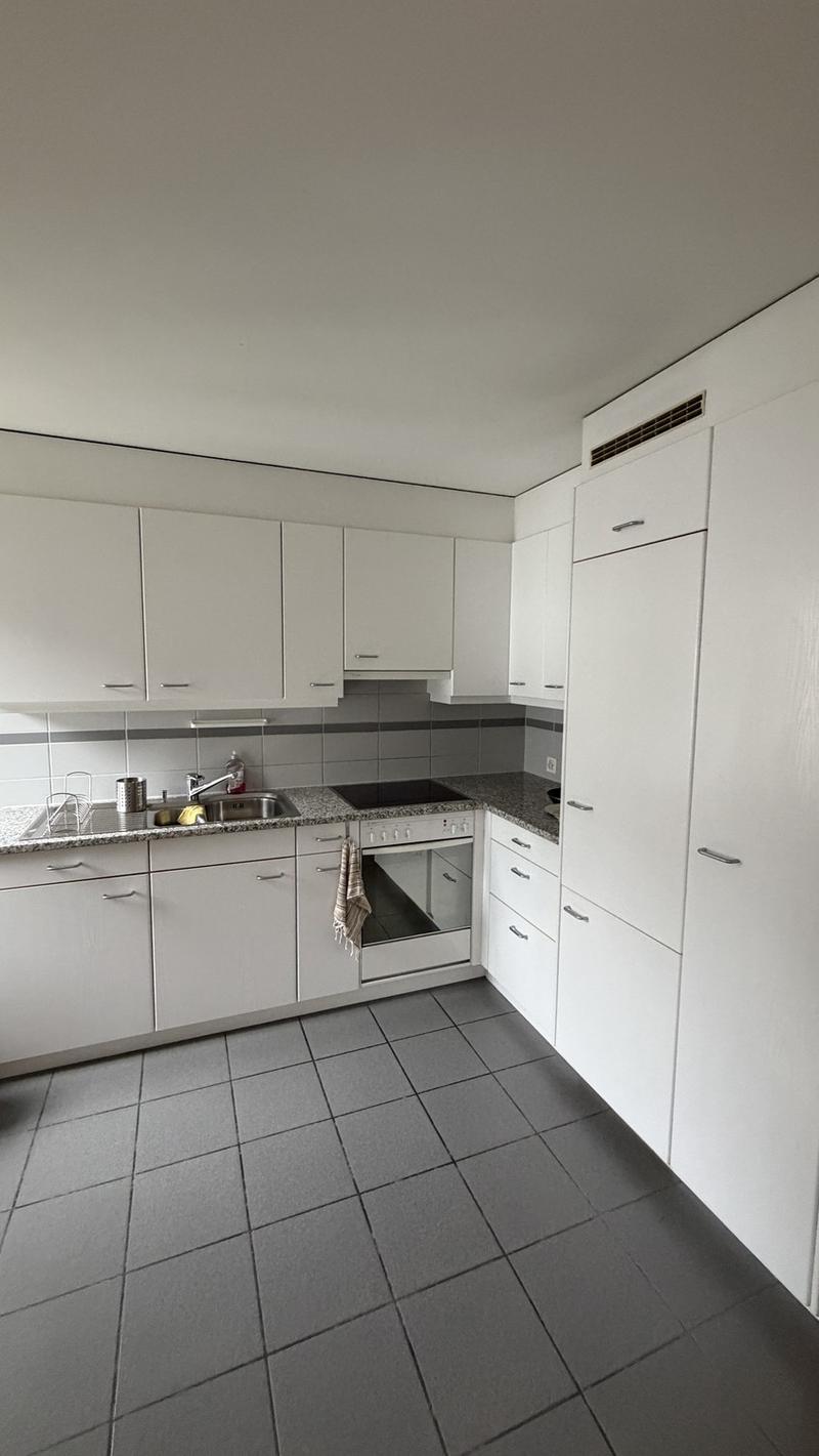 Room for Rent in Zurich Available from November (4)