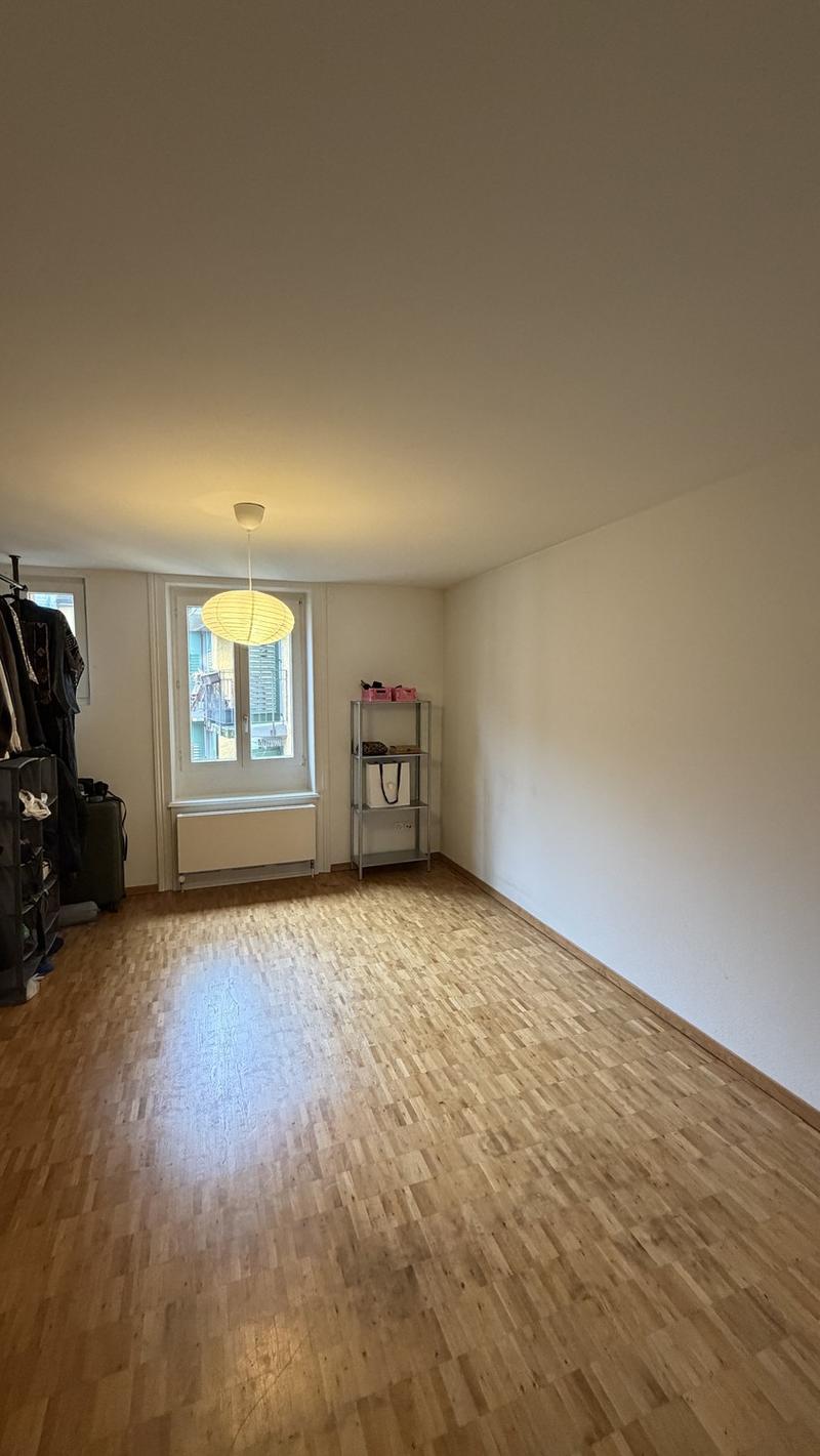 Room for Rent in Zurich Available from November (2)