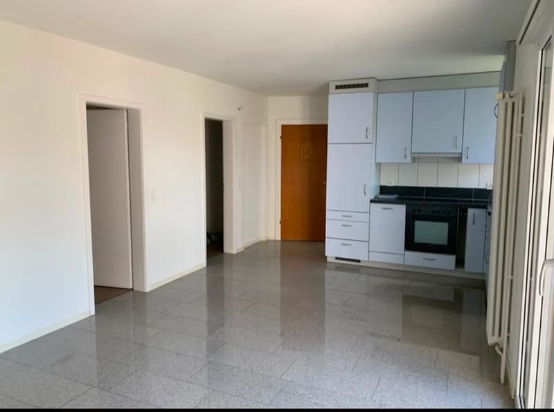 Beautiful 3-bedroom apartment with garden access (4)