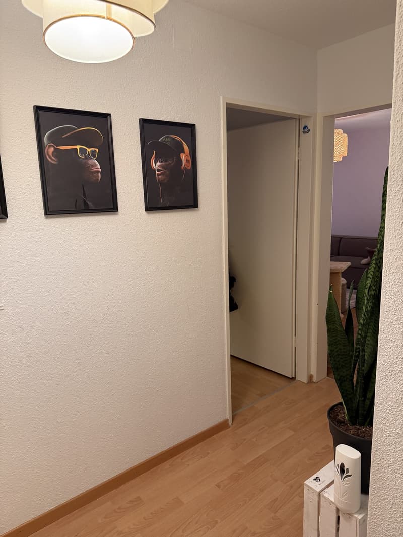 Nachmieter gesucht per 01.12.2026 (6)