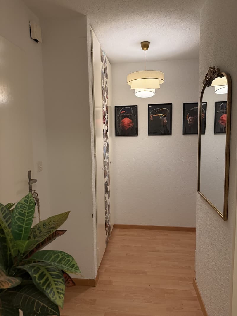 Nachmieter gesucht per 01.12.2026 (5)