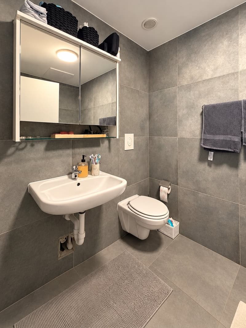 Moderne 2.5-Zimmer-Neubauwohnung mit grossem Balkon an zentraler Lage in Münchwilen TG (10)