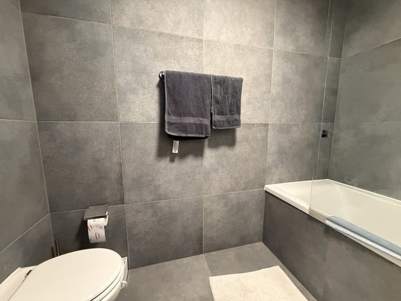 Moderne 2.5-Zimmer-Neubauwohnung mit grossem Balkon an zentraler Lage in Münchwilen TG (9)