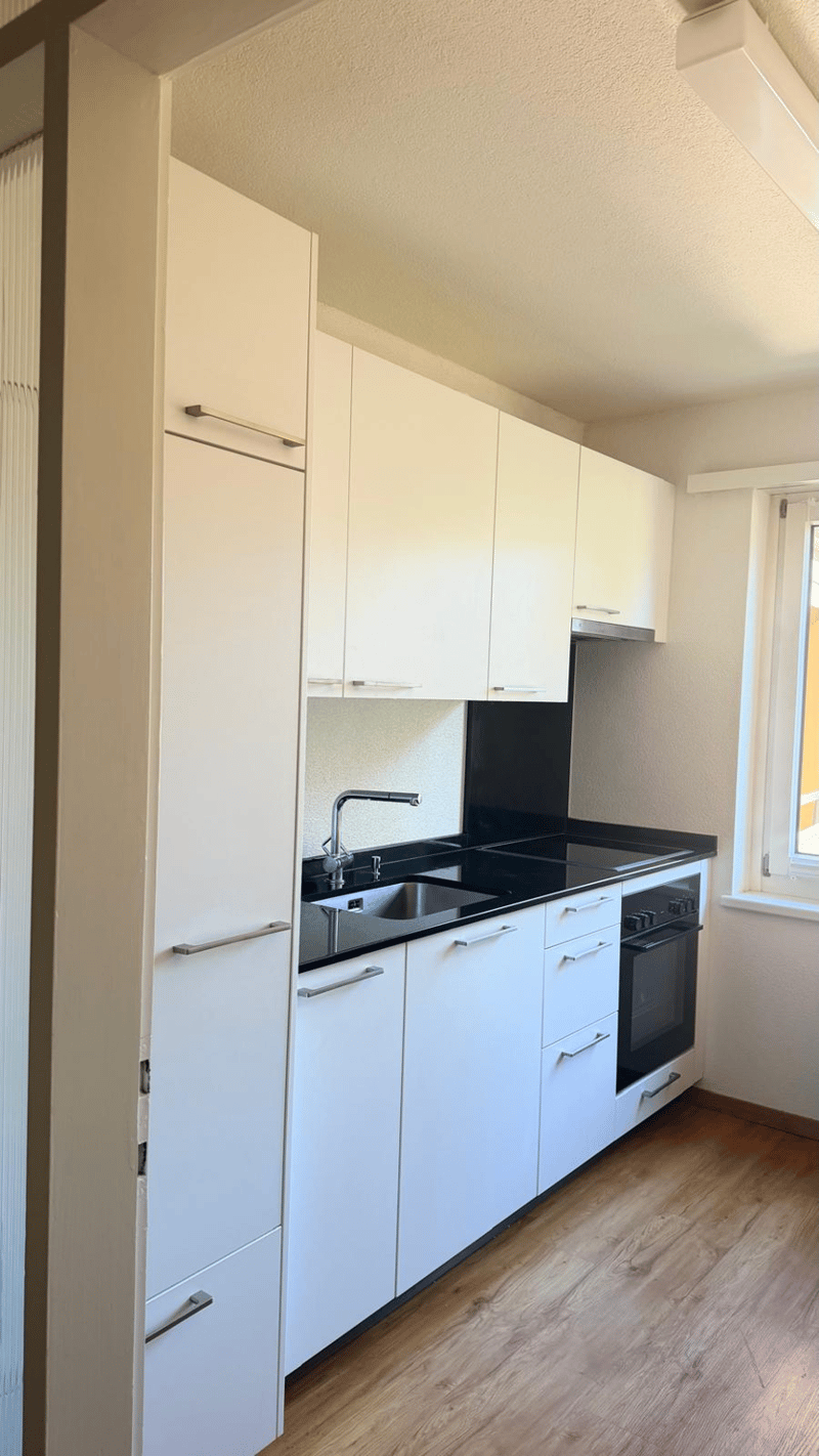 2 ½ Zimmer-Wohnung, 8057 Zürich (2)