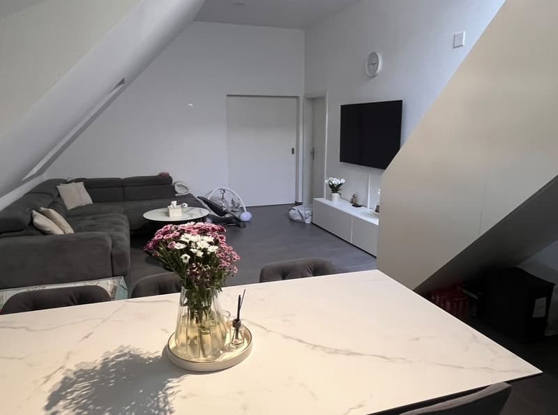 3.5 Zimmerwohnung in 8052 Zürich-Seebach (1)