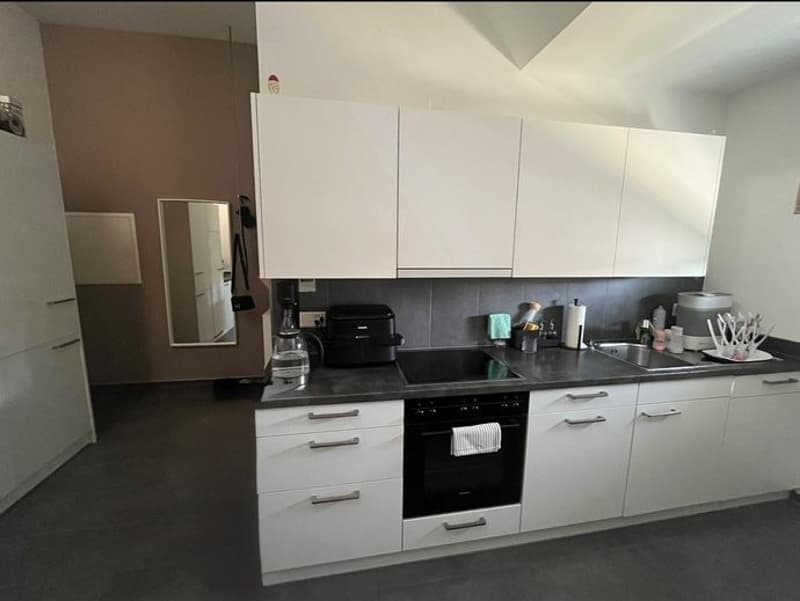 3.5 Zimmerwohnung in 8052 Zürich-Seebach (2)