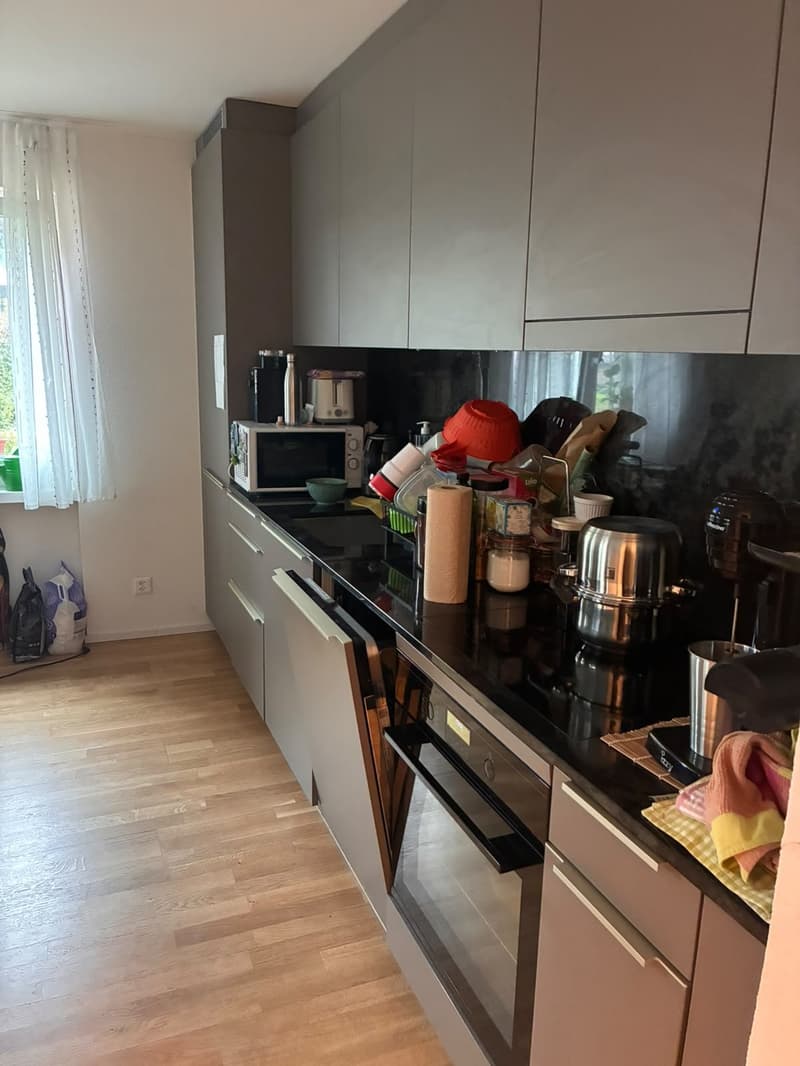 3.5 Zimmer Wohnung - Warm, quiet and central apartment (4)