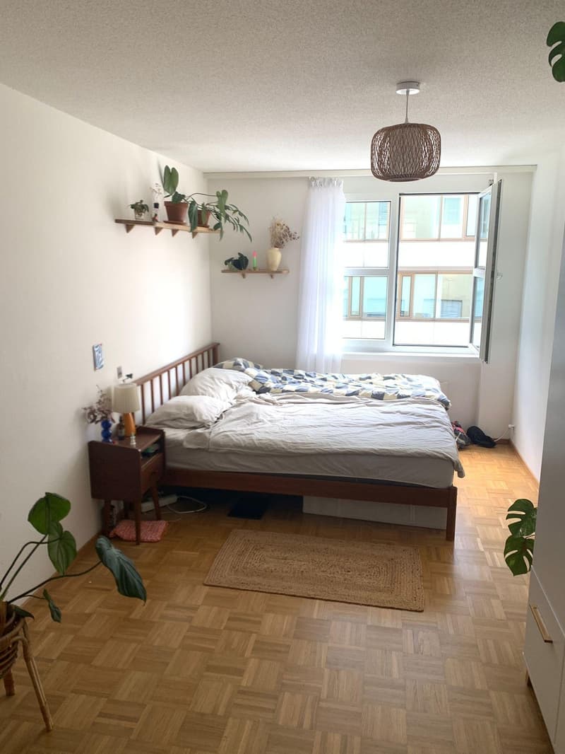 WG-Zimmer in Neustadt, befristet (prov.) bis Ende Frühling 27 (1)