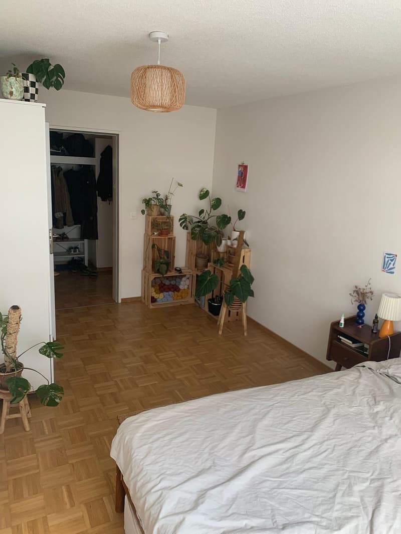 WG-Zimmer in Neustadt, befristet (prov.) bis Ende Frühling 27 (2)