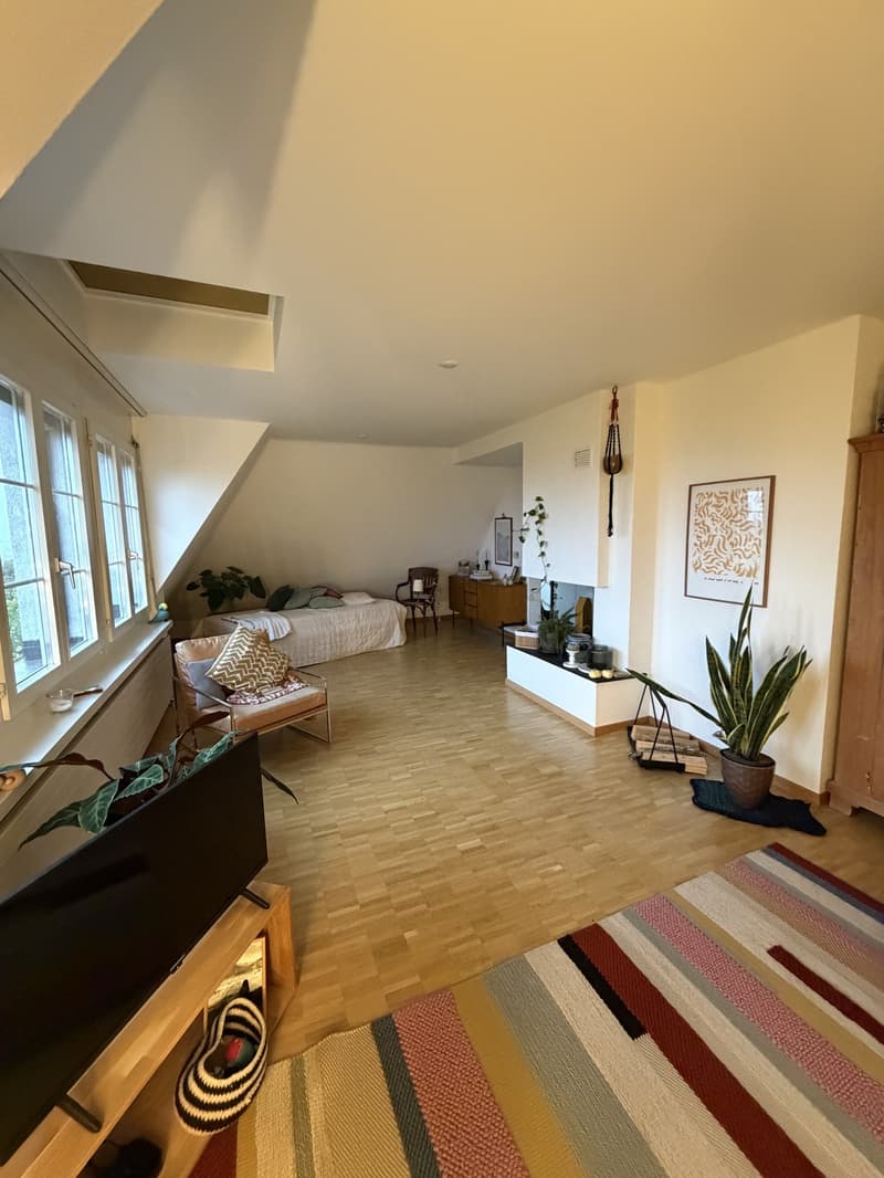 Dachmaisonettewohnung (7)