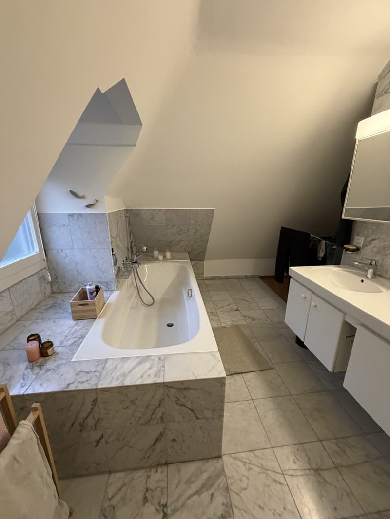 Dachmaisonettewohnung (4)
