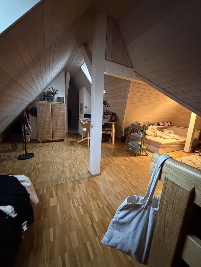 Dachmaisonettewohnung (5)
