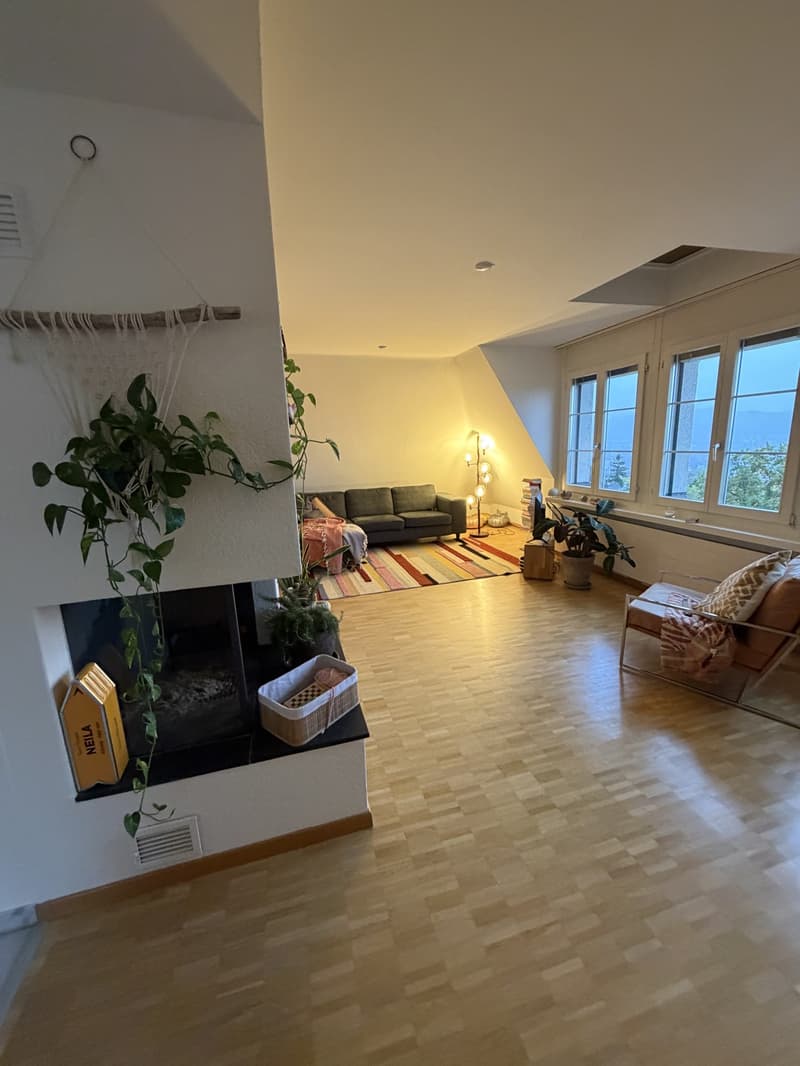 Dachmaisonettewohnung (8)