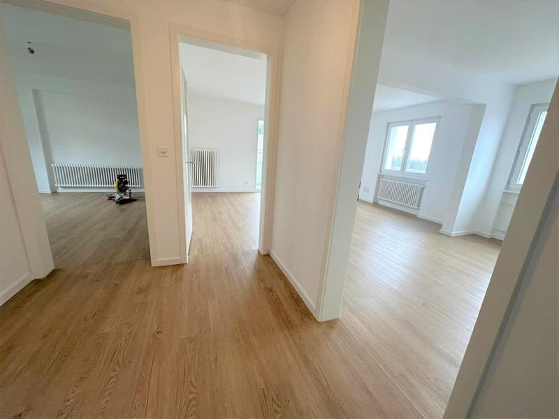 Grosszügige Wohnung im Künten (4)