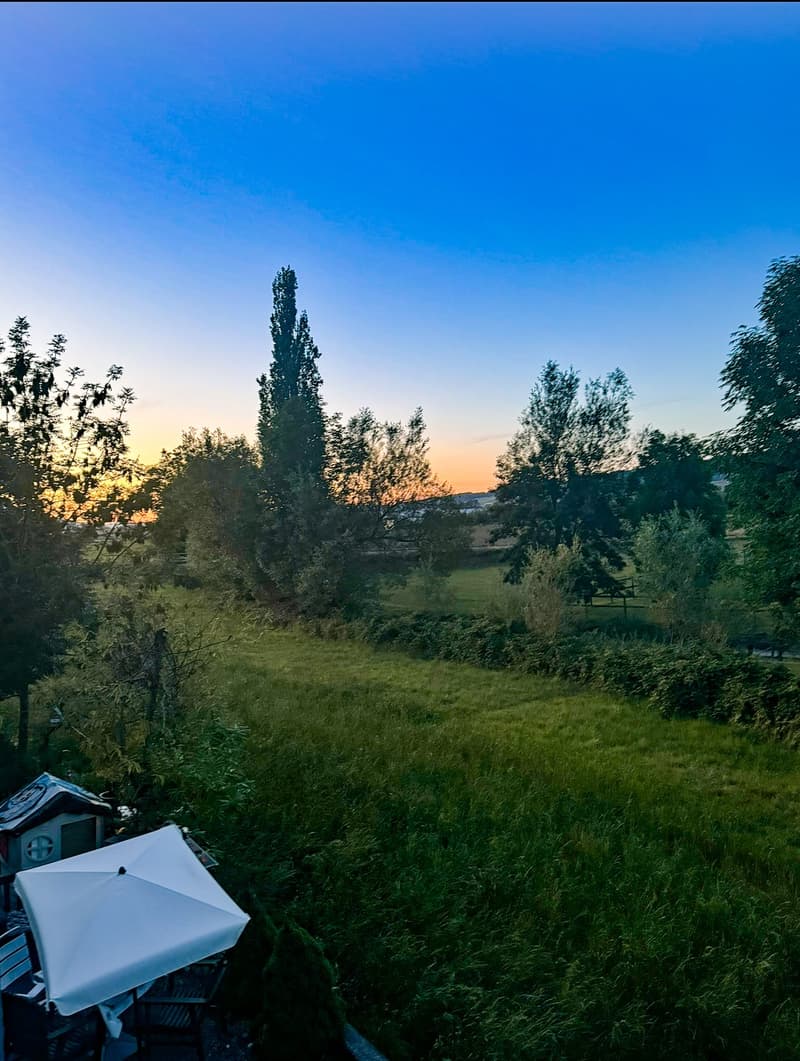 2Zi-Wohnung im schönen Seetal - Haustiere willkommen (7)