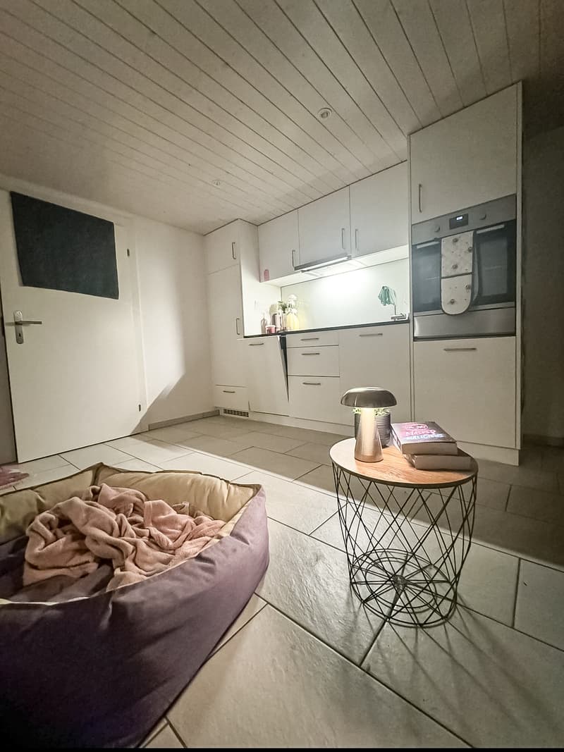 2Zi-Wohnung im schönen Seetal - Haustiere willkommen (4)
