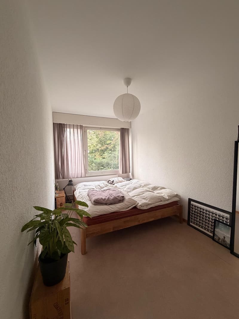 3-Zimmer-Wohnung mit Balkon an ruhiger Lage (5)