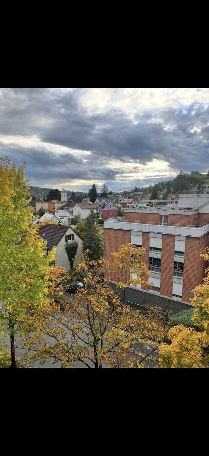 Helle und gemütliche 2.5-Zimmer-Wohnung an ruhiger Lage in Winterthur (7)