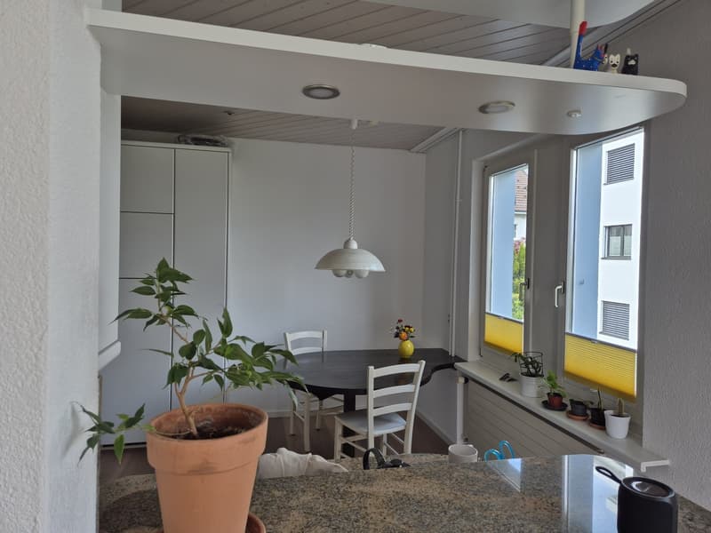 WG Einfamilienhaus Uetikon am See (6)