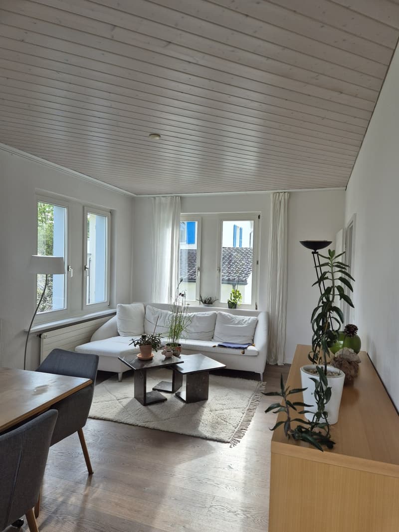 WG Einfamilienhaus Uetikon am See (1)