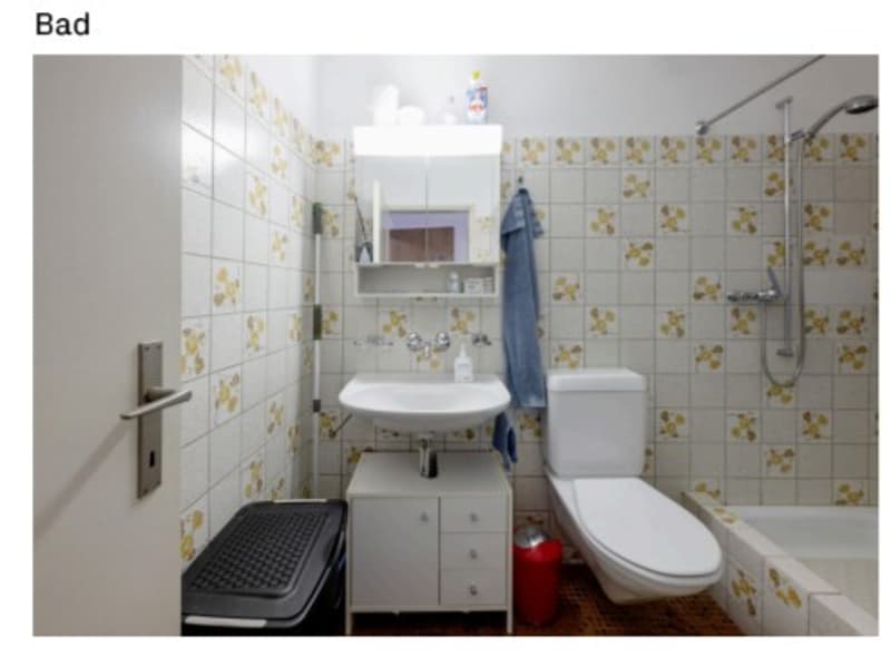 1 Zimmer Wohnung zu vermieten (5)