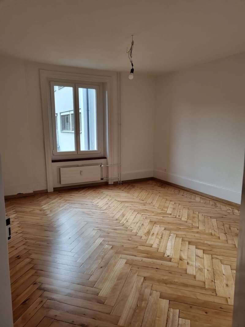 Zentrale Altbauwohnung (3)