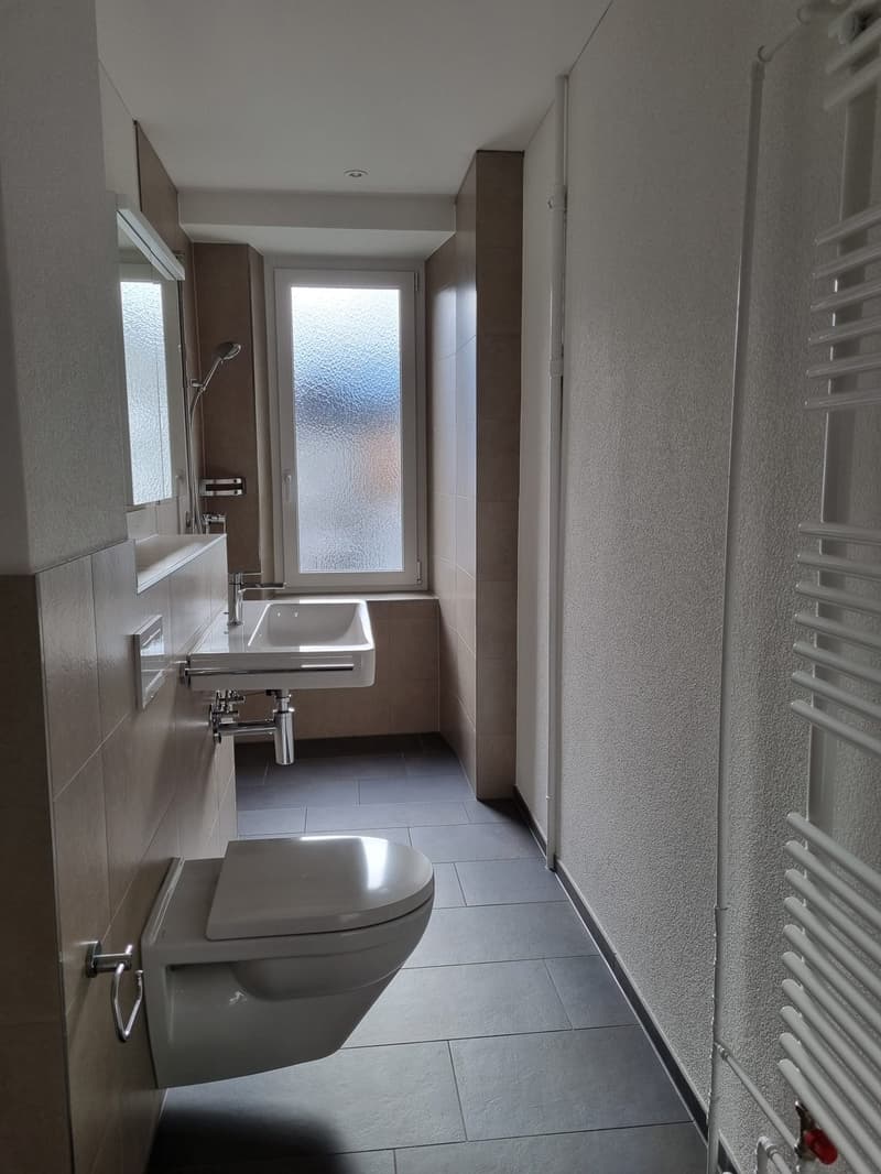 Zentrale Altbauwohnung (4)