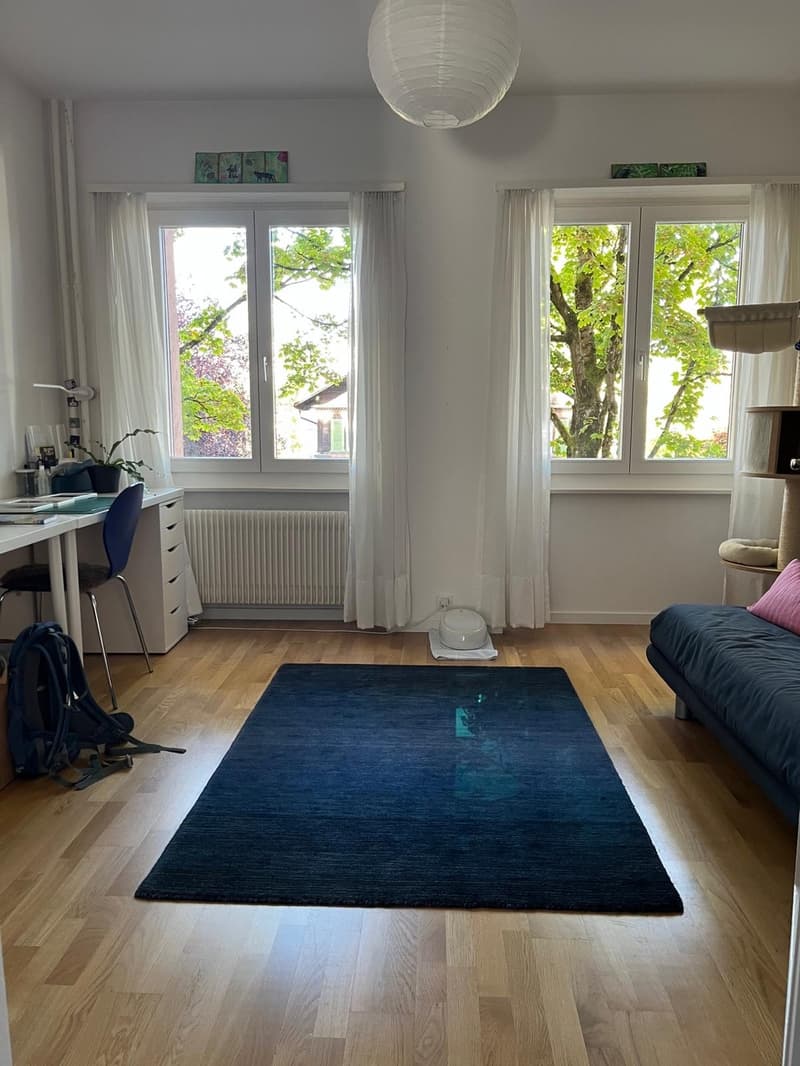 Helle 4- Zimmerwohnung, nahe Rosengarten (2)