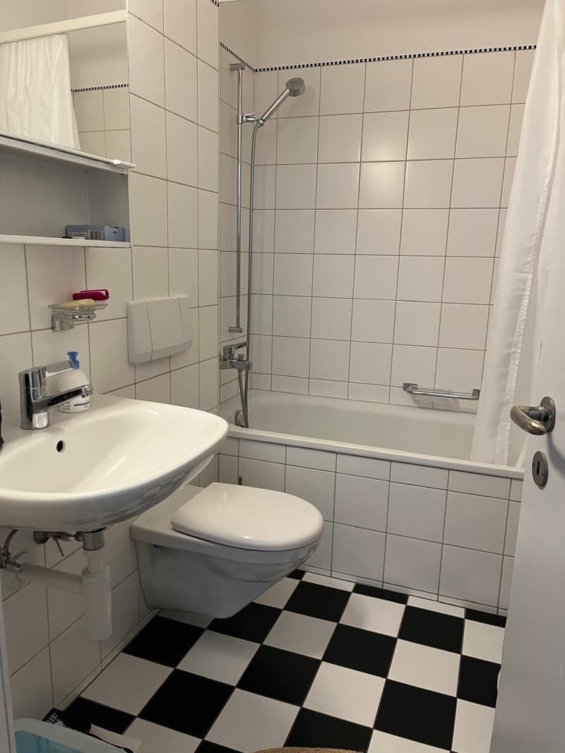 Helle 4- Zimmerwohnung, nahe Rosengarten (7)