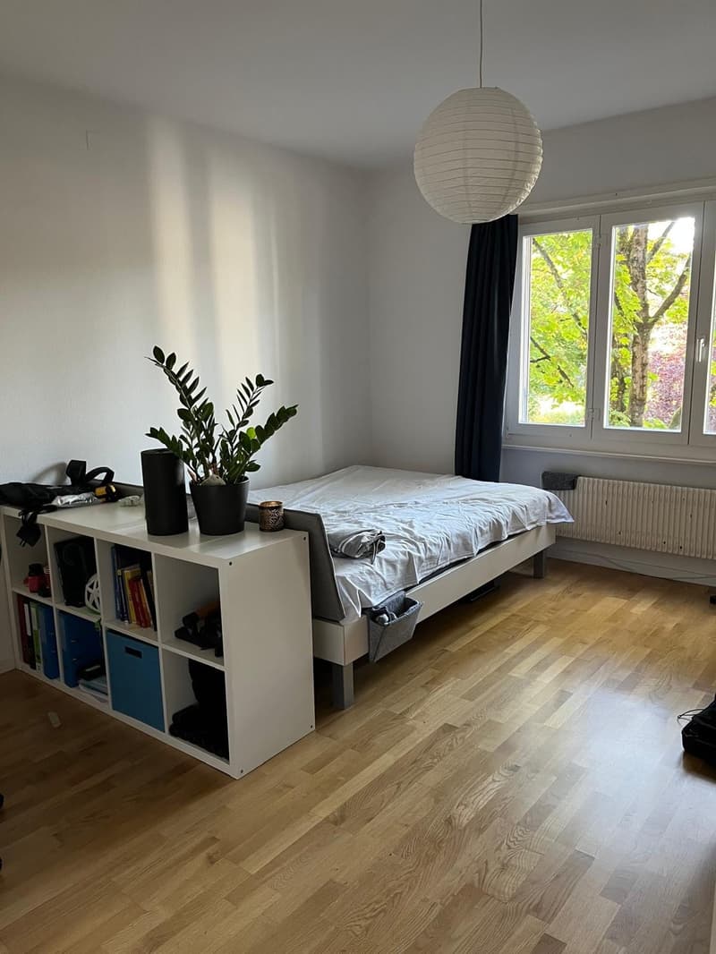 Helle 4- Zimmerwohnung, nahe Rosengarten (4)