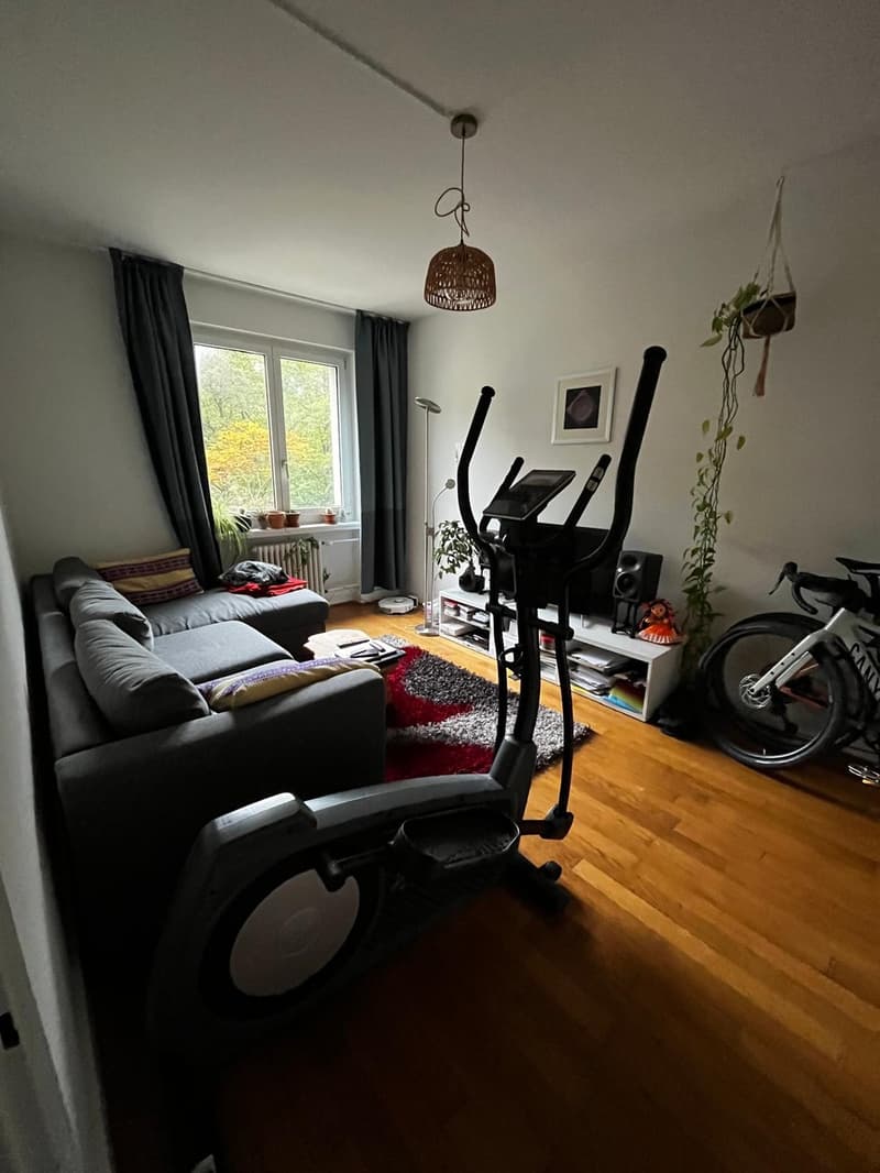 Great price & top-connected flat near Milchbuck (2)