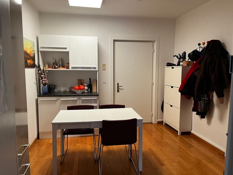Great price & top-connected flat near Milchbuck (1)