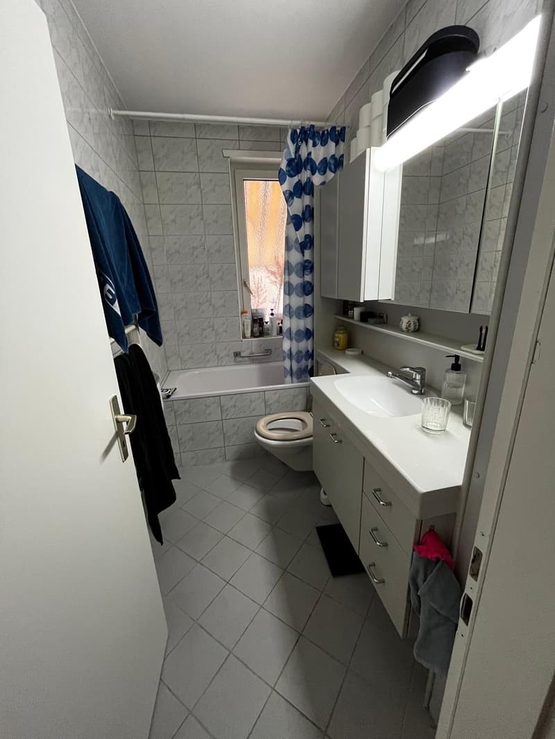 Great price & top-connected flat near Milchbuck (4)