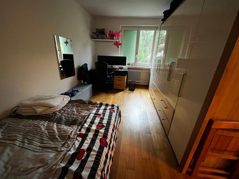 Great price & top-connected flat near Milchbuck (3)