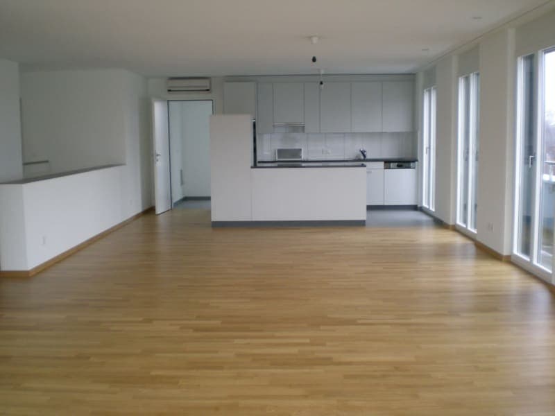 Schöne, helle 5.5-Zimmer-Attikawohnung an zentraler Lage (1)