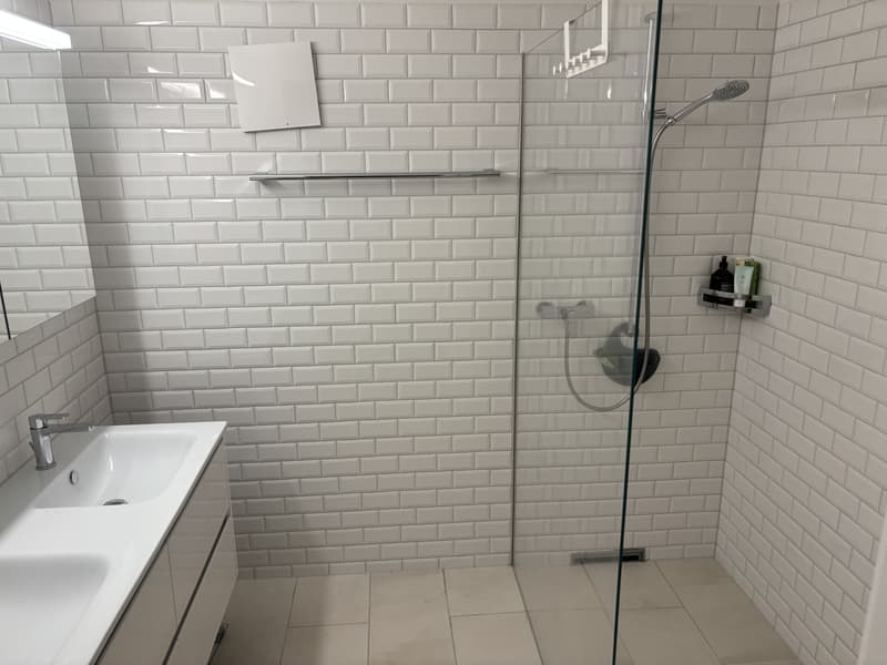 Room in a modern shared flat near Stauffacher (5)
