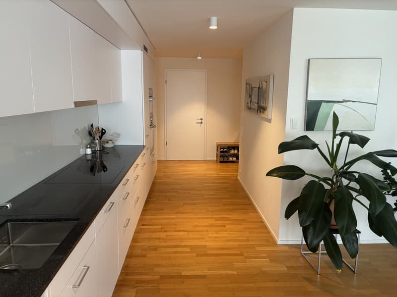 Room in a modern shared flat near Stauffacher (2)