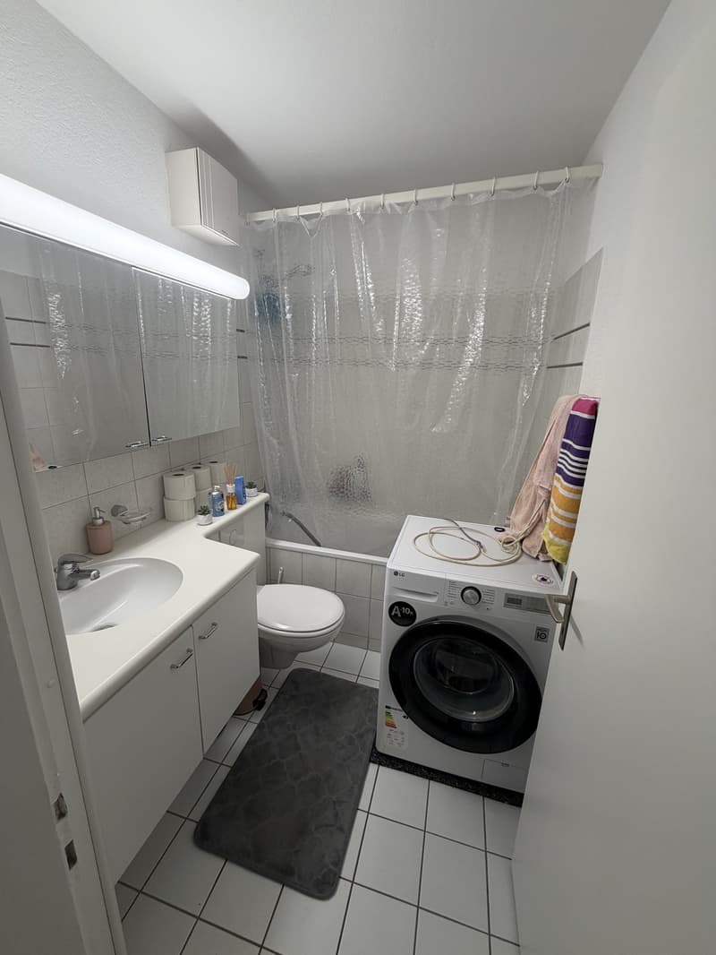 Wohnung Zu vermieten (4)
