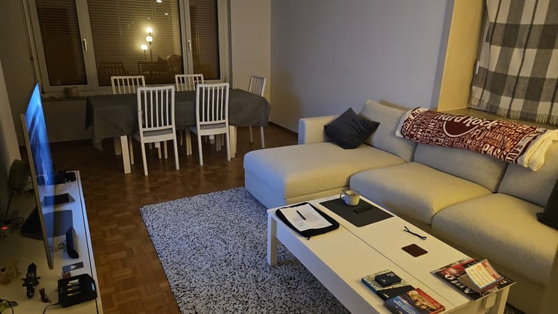 3.5 Apartment (furniture for acquisition) (9)