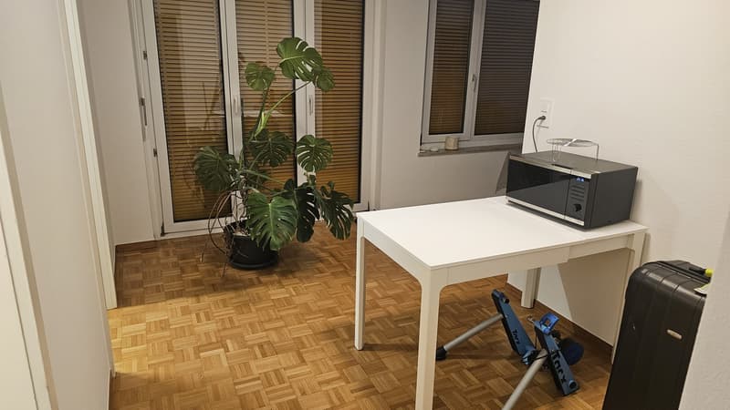 3.5 Apartment (furniture for acquisition) (7)