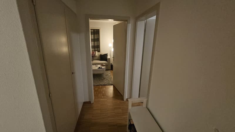 3.5 Apartment (furniture for acquisition) (5)