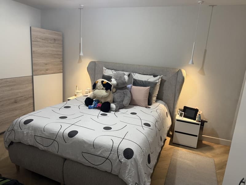Superbe appartement haut de gamme de 3,5 pcs (7)